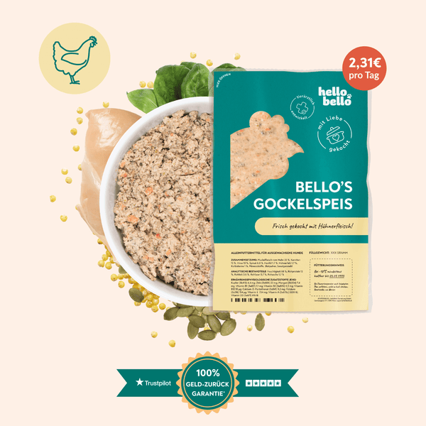 FRISCH GEKOCHT-Hundefutter Rezept mit Huhn