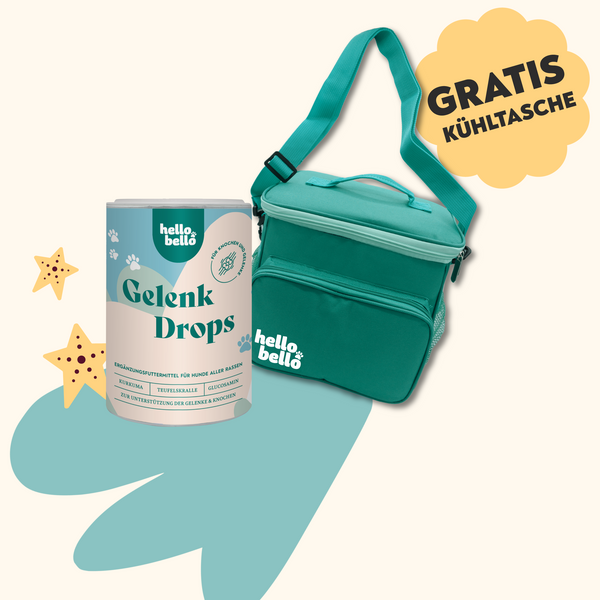 Sommer Special - Gelenk Drops mit -50% & GRATIS Kühltasche