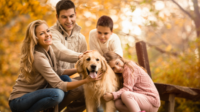 Der perfekte Familienhund – welche Rasse passt zu euch?