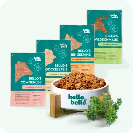 Frischfutter für Energiebedarf von 724 kCal/Tag