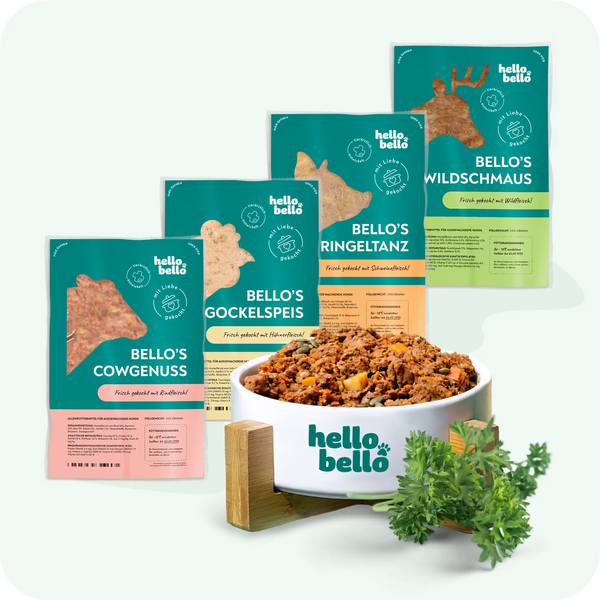 Frischfutter für Energiebedarf von 374 kCal/Tag