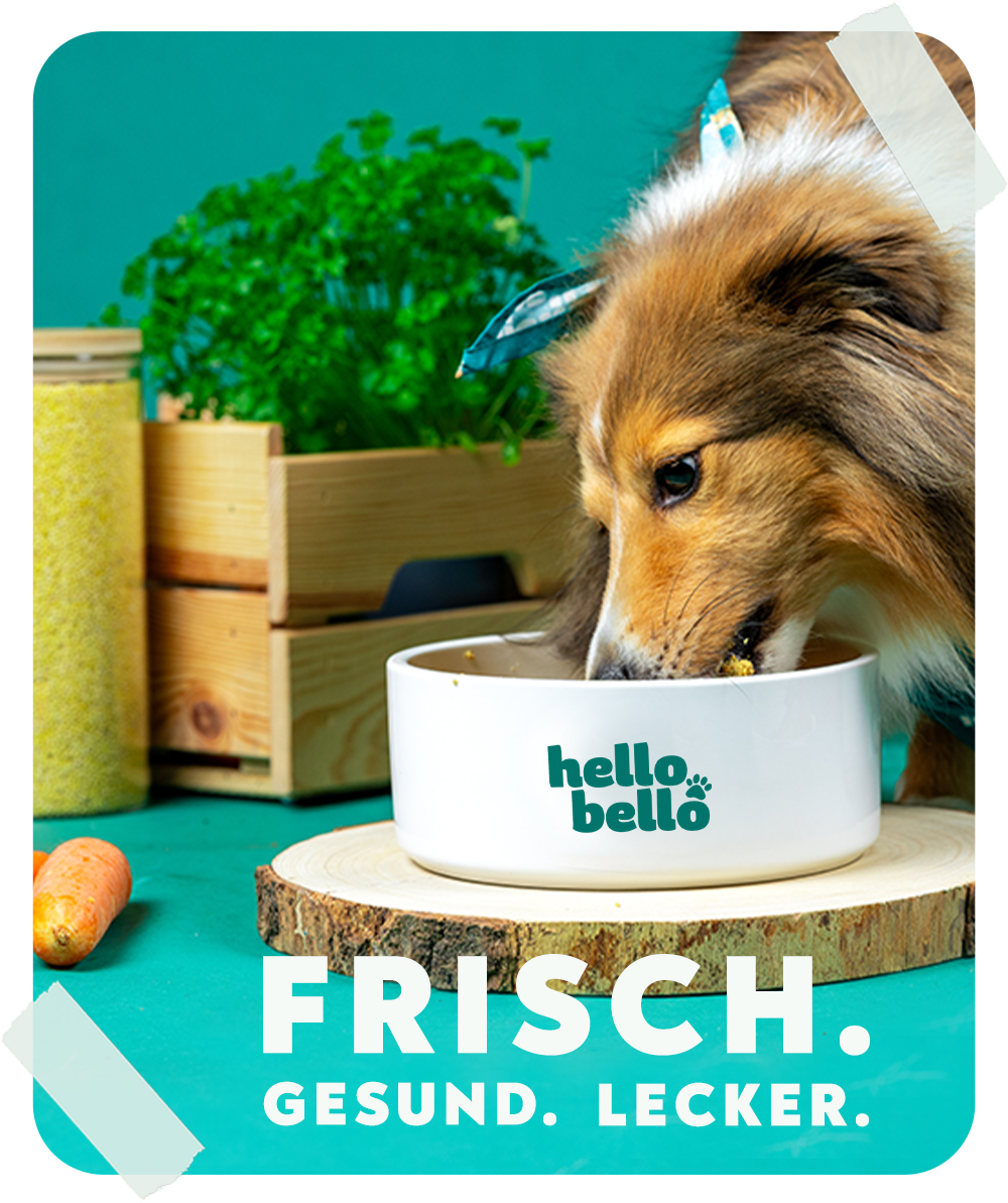 HelloBello Frischfutter mit Huhn Gockelspeis