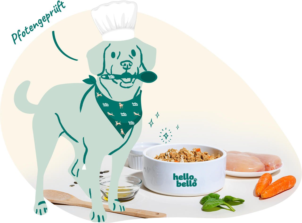 HelloBello Frischfutter mit Huhn Gockelspeis