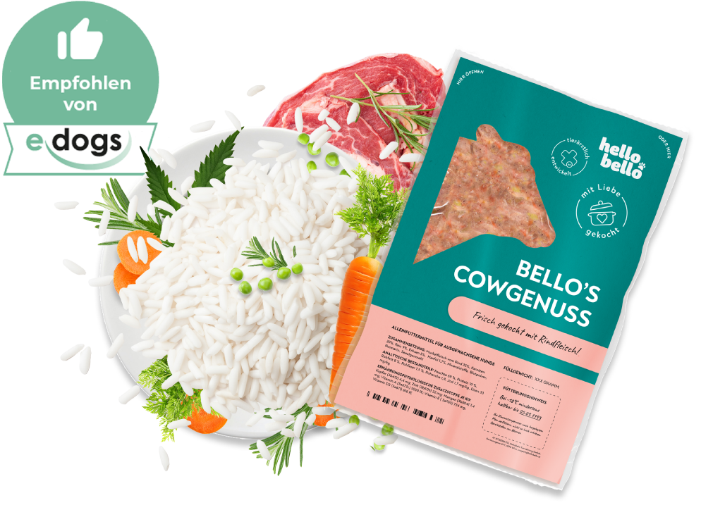 HelloBello_Frischfutter_mit_Rind_Cowgenuss