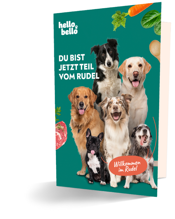 Willkommens Broschüre