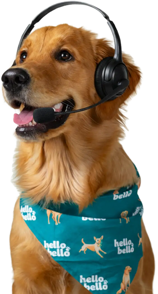 Für dich erreichbar