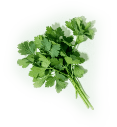 Parsley