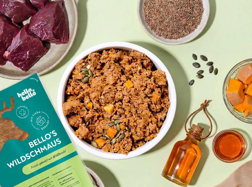 Hauptbild frisches Rezept